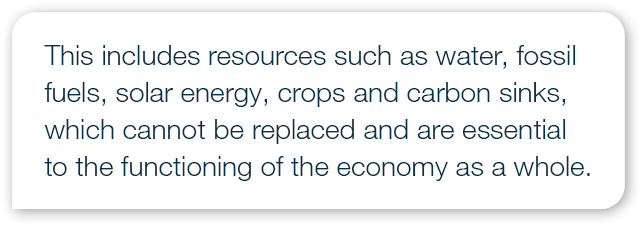 This includes resources such as water, fossil fuels, solar energy, crops and carbon sinks, which cannot be replaced a...