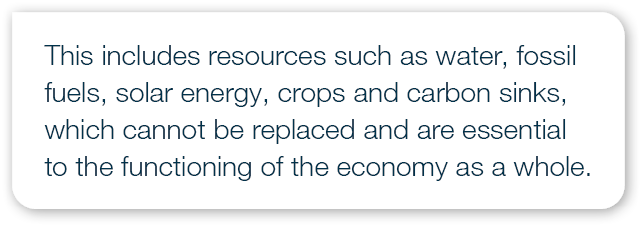 This includes resources such as water, fossil fuels, solar energy, crops and carbon sinks, which cannot be replaced a...